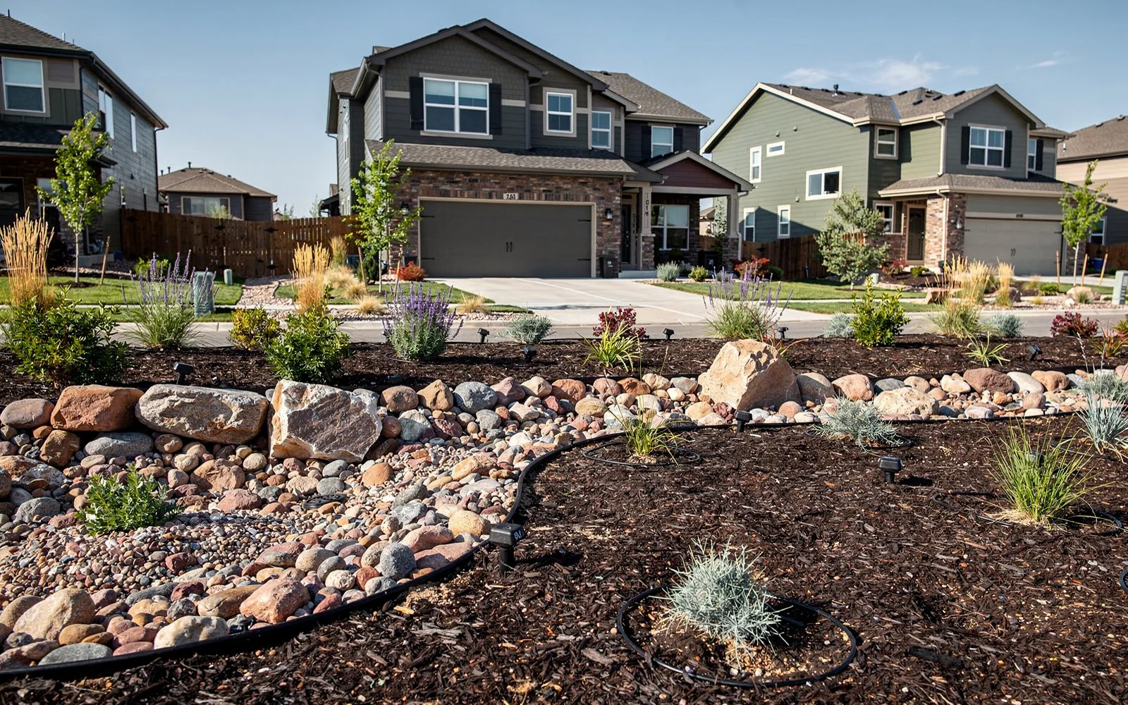 Xeriscape design